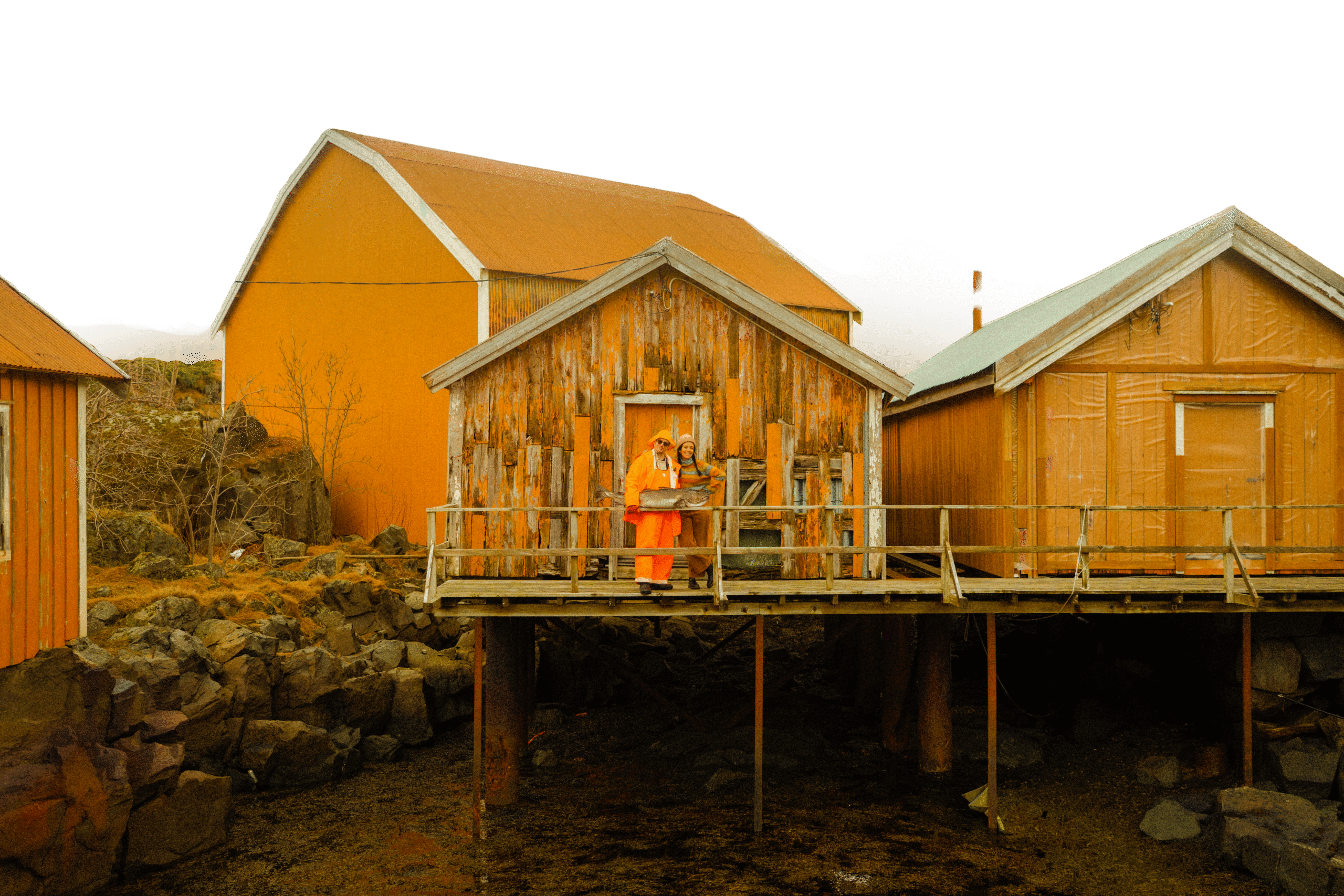 Traditional ochre-yellow Norwegian Rorbu cabins built on stilts over a calm harbor in Lofoten, Norway.